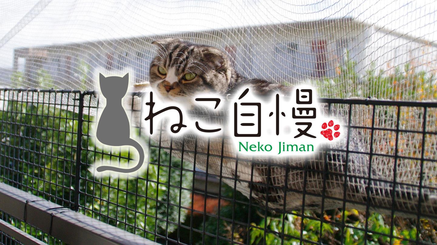 🈑ねこ自慢　傑作選＃１２