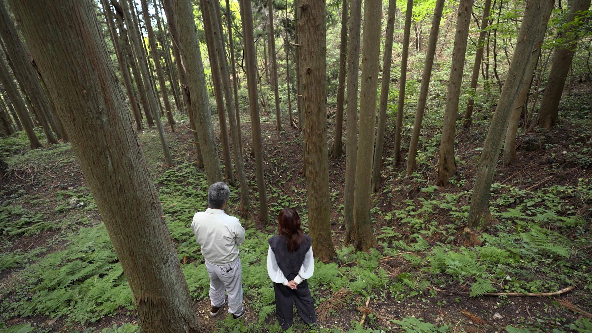 日本遺産物語　佐渡島の金山〜世界を動かした日本の鉱山遺産〜