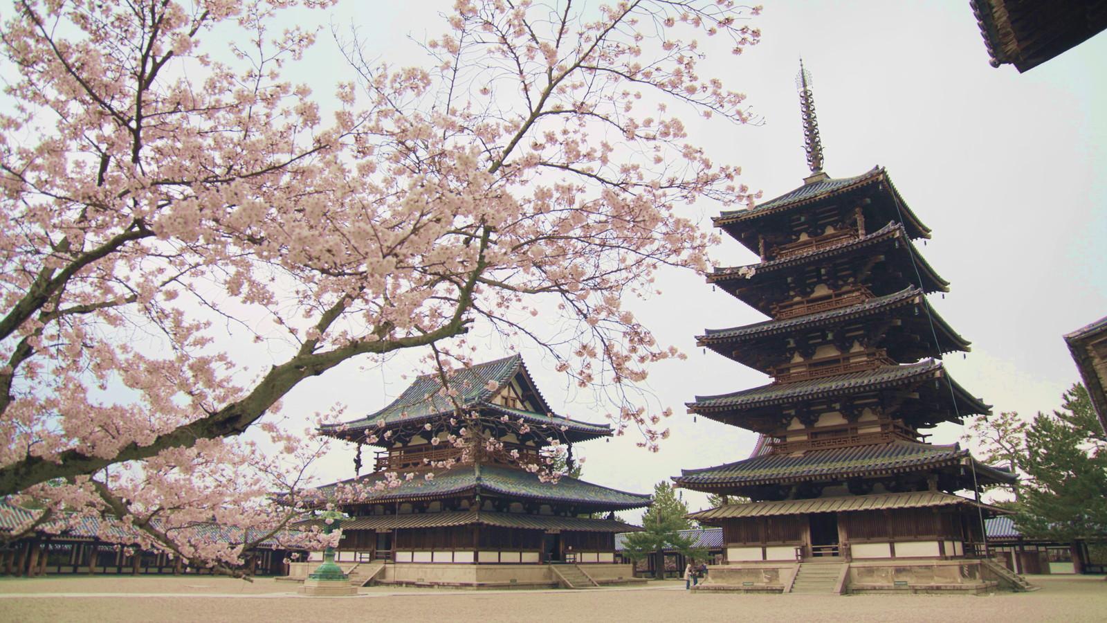 令和の法隆寺〜千四百年の伝承と聖徳太子の残響〜