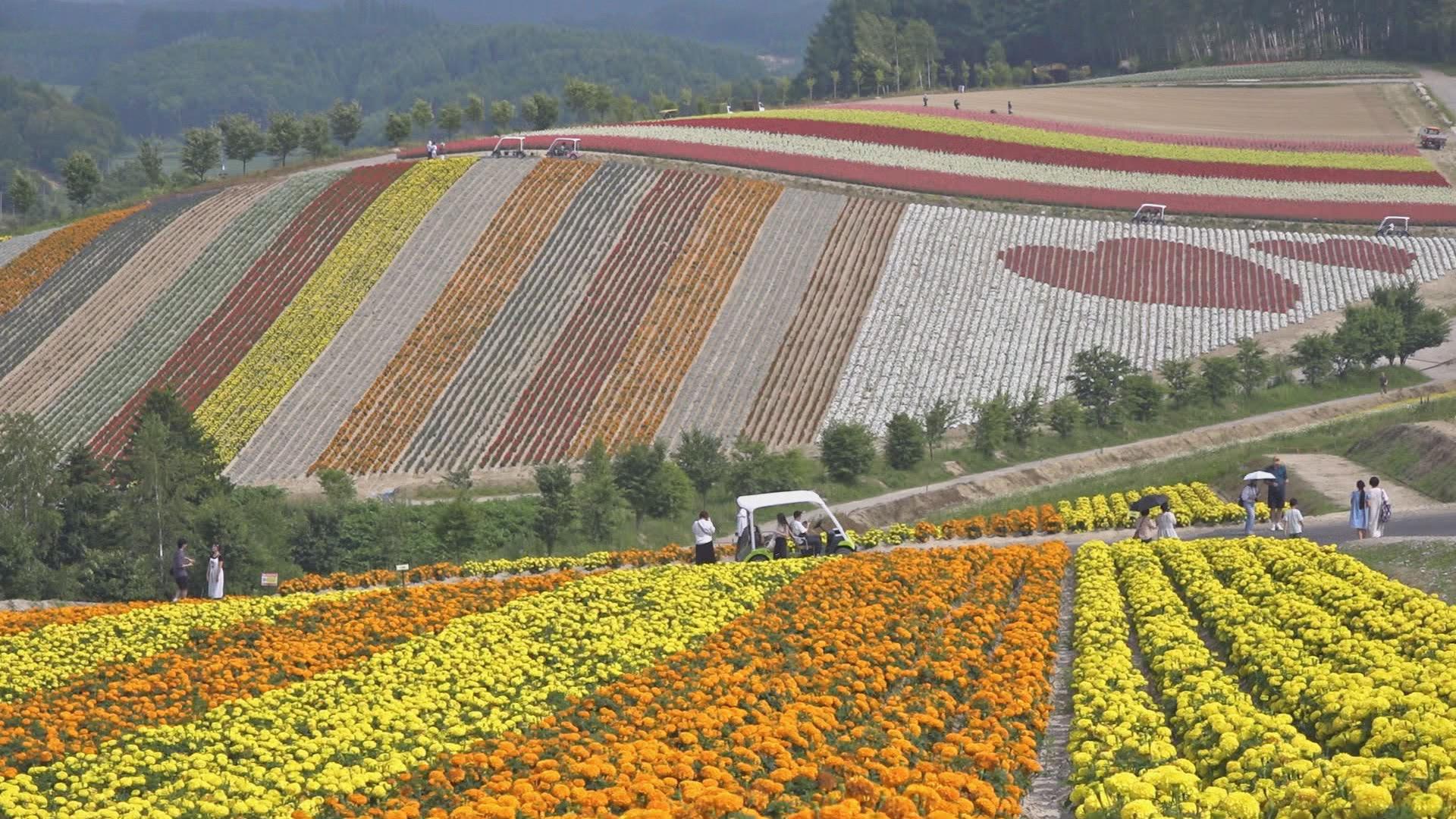 🈑ニッポン美景めぐり　北海道・旭川〜美瑛