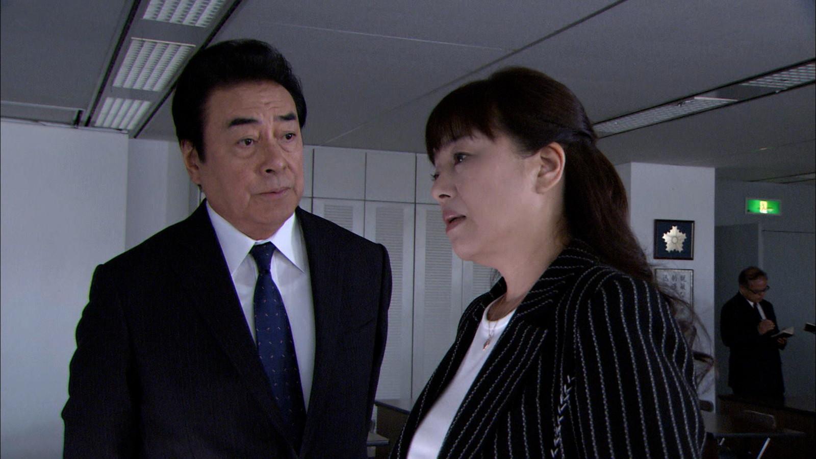 ＜日曜サスペンス＞山村美紗サスペンス　女検視官・江夏冬子2　復讐の血脈🈖🈑