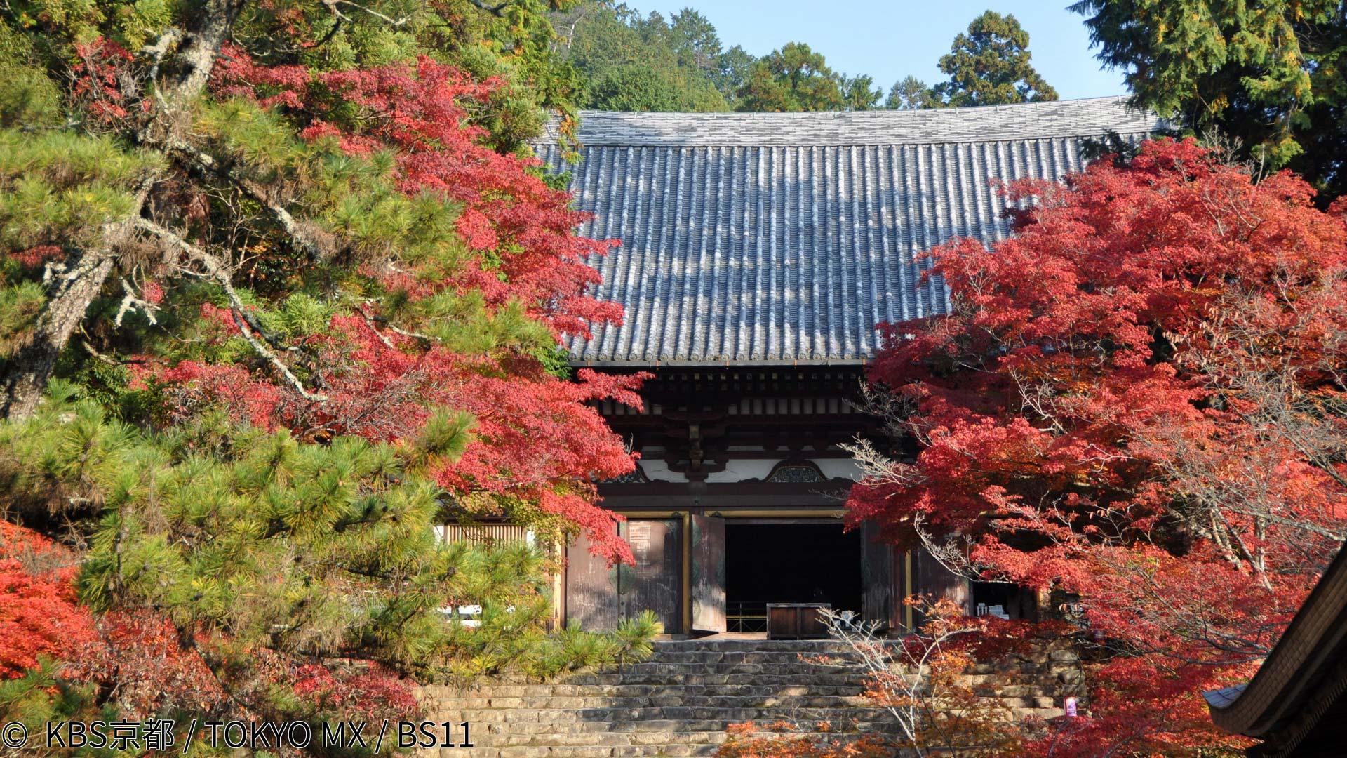 🈑京都浪漫　悠久の物語【秋の高雄〜写真家と訪ねる紅葉の名刹〜】