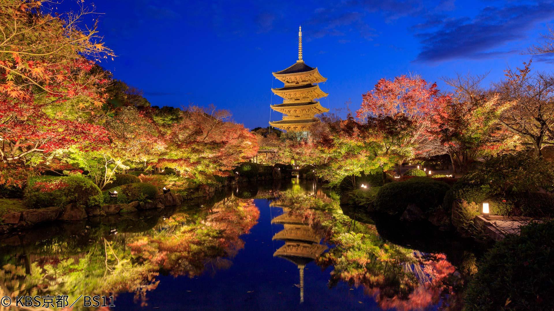 🈑京都浪漫　悠久の物語【美しき東寺〜紅葉ライトアップと特別拝観〜】