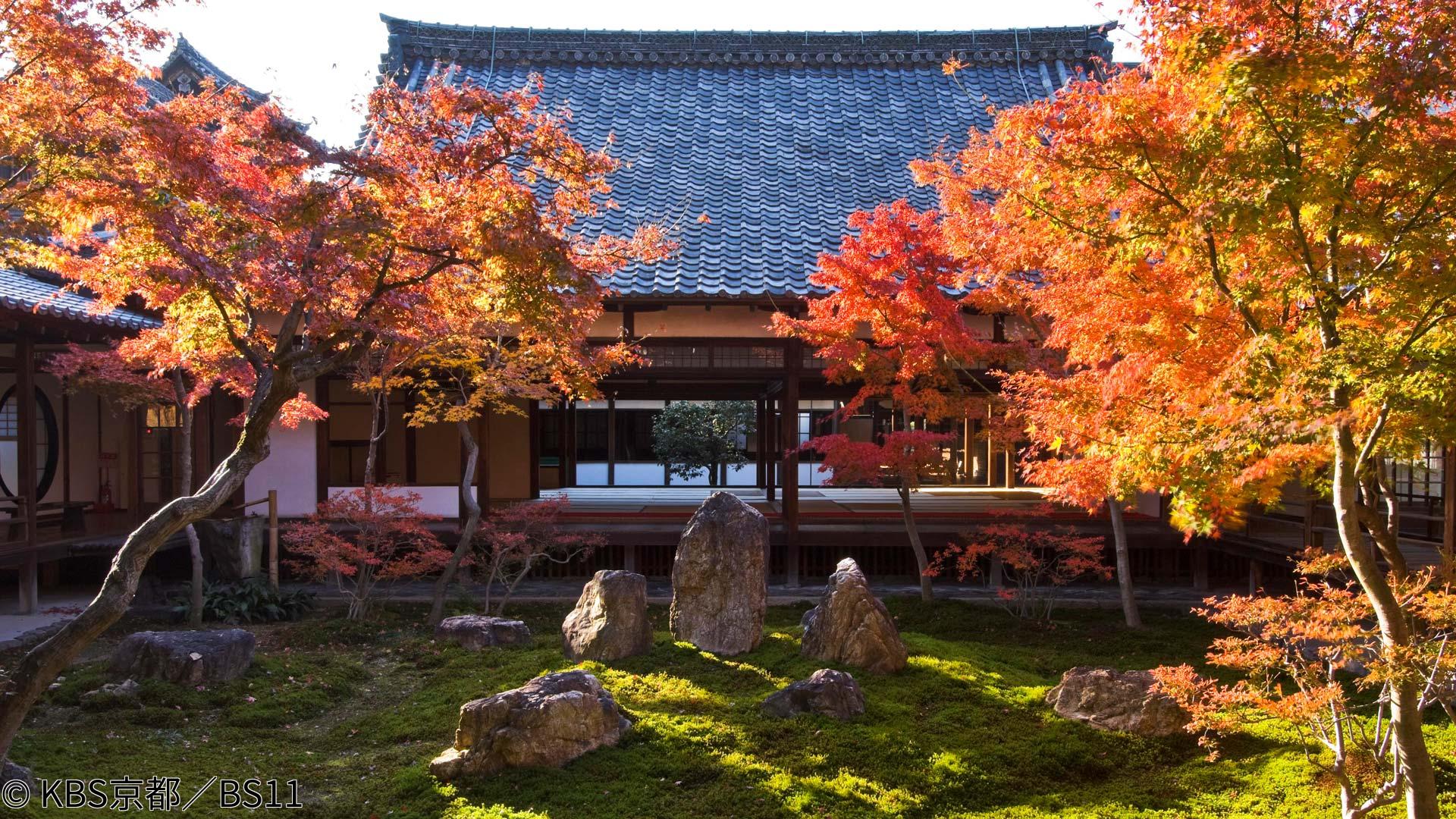 🈑京都浪漫　悠久の物語【建仁寺〜紅葉と国宝・風神雷神図屏風に双龍図の秘密】