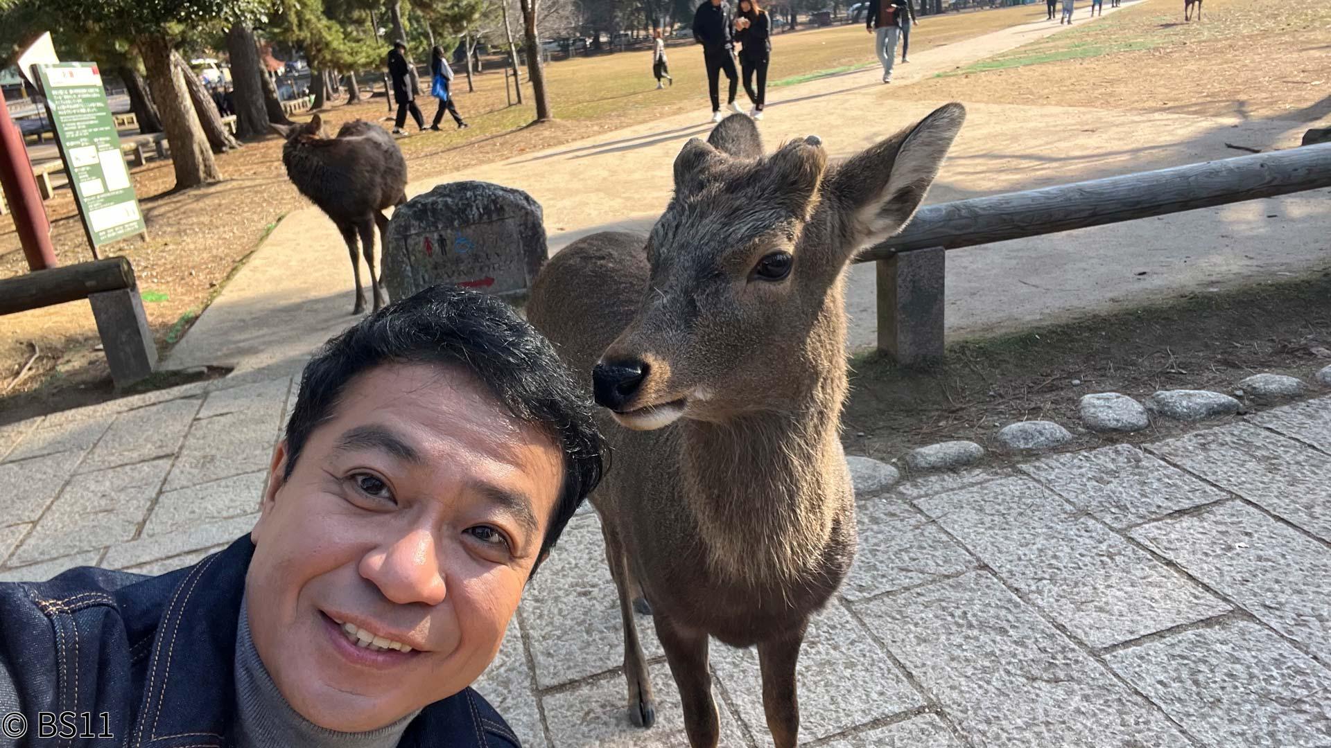 中山秀征の楽しく１万歩！街道びより「世界遺産の街『奈良』発祥のグルメを満喫！」