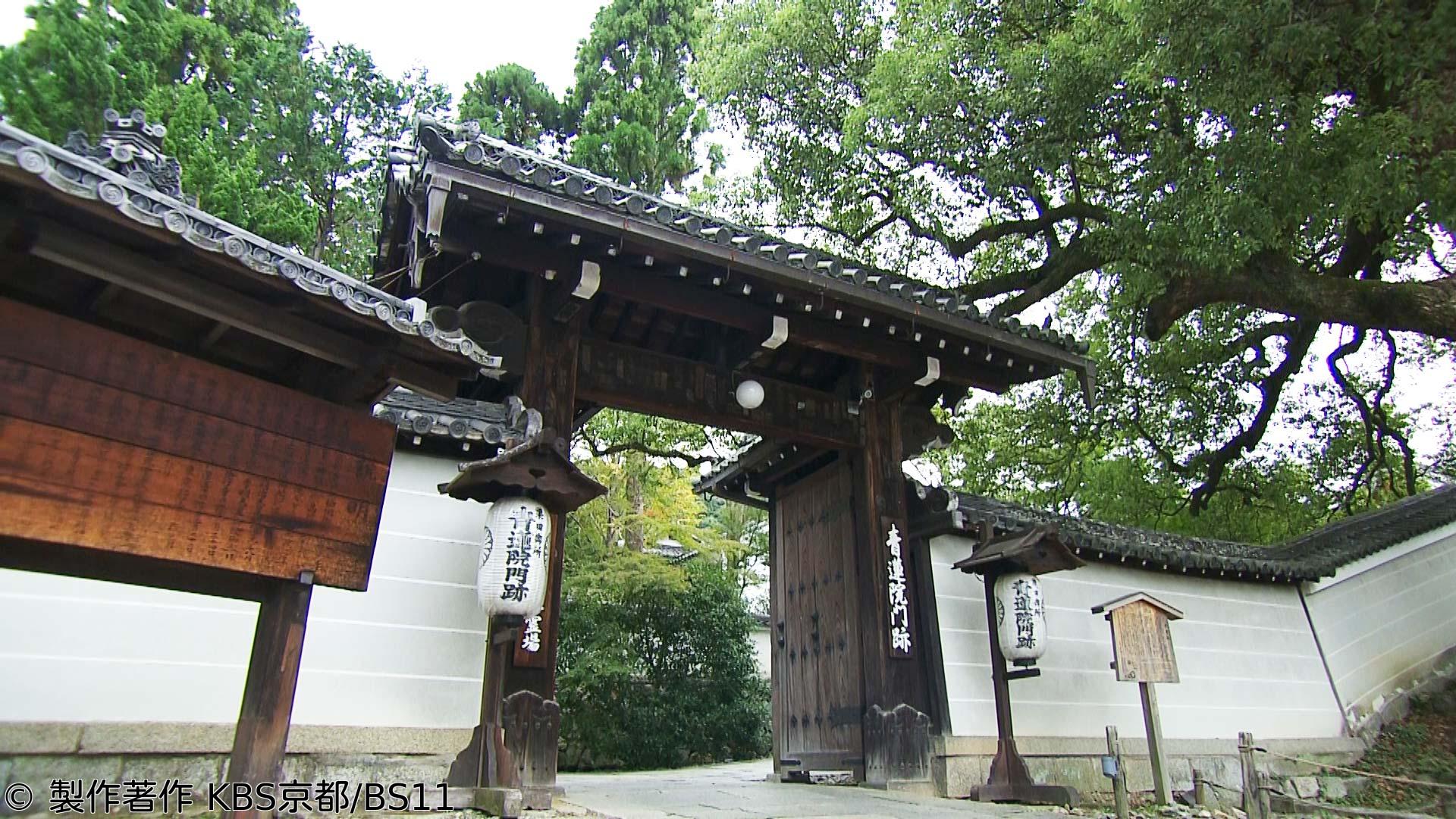 🈑京都浪漫　悠久の物語「紅葉の小宇宙を訪ねて〜青蓮院門跡・法然院・西陣興聖寺〜」