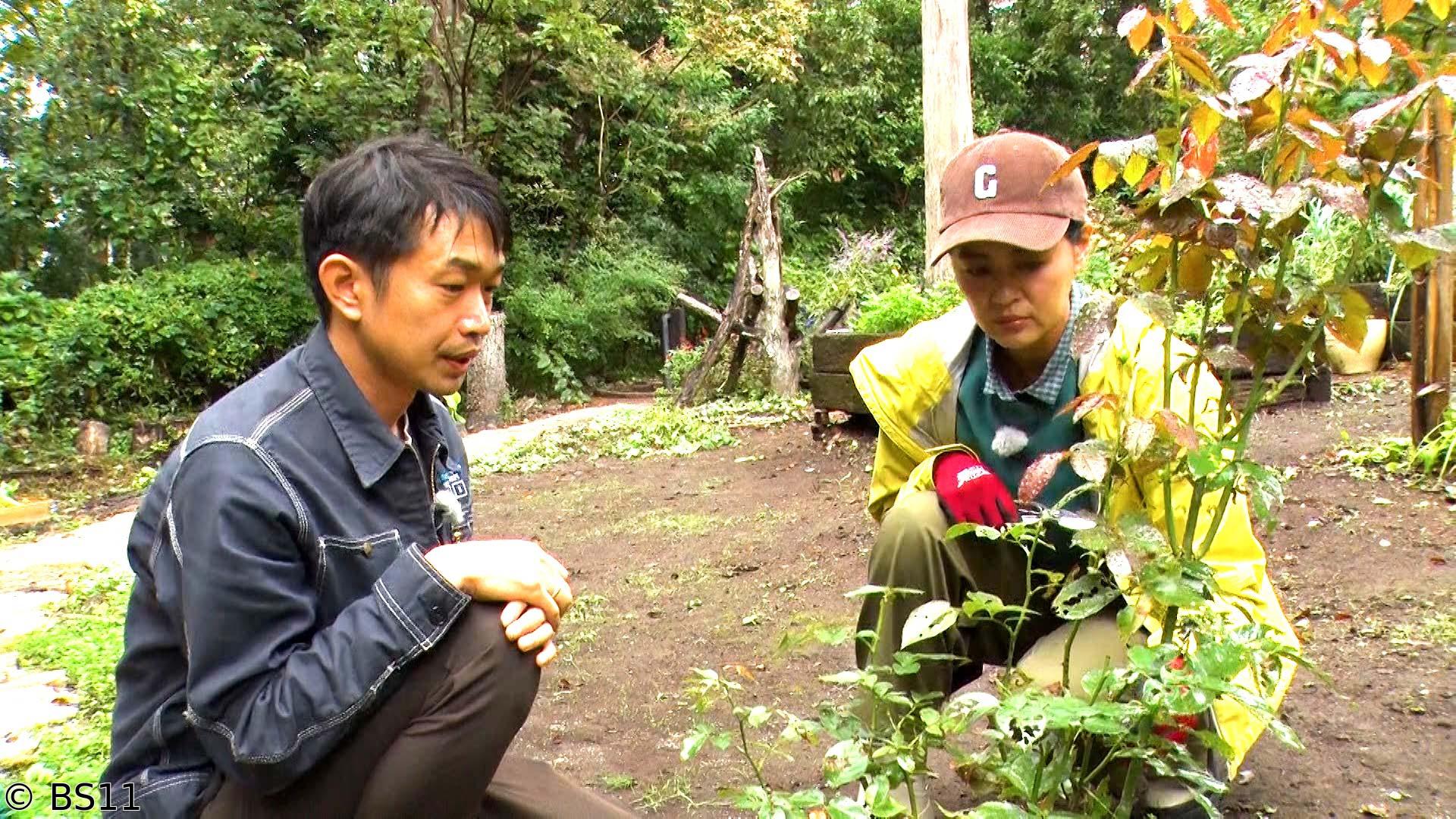 黒谷友香、お庭つくります　アンコール　秋バラを長く楽しむ、すぐ使えるバラの育て方