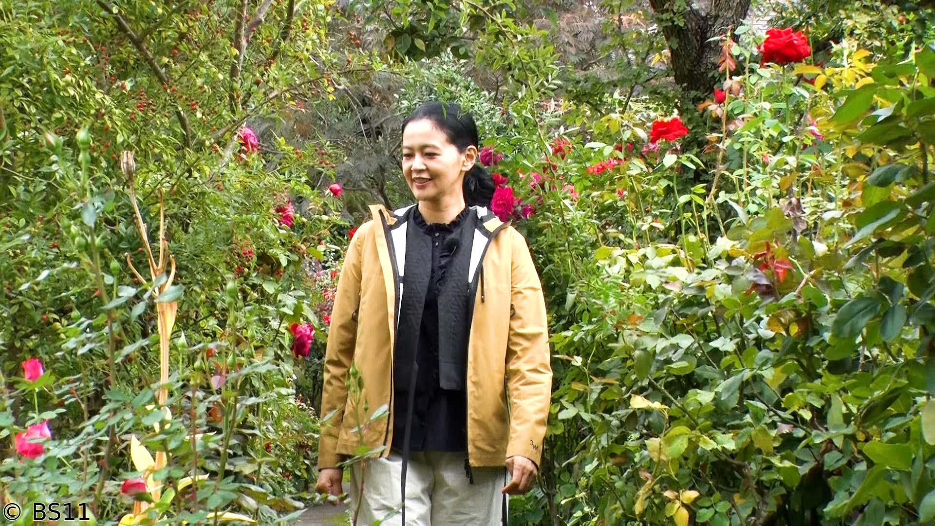 黒谷友香、お庭つくります　「友の庭」の冬支度＆横浜イングリッシュガーデン巡り