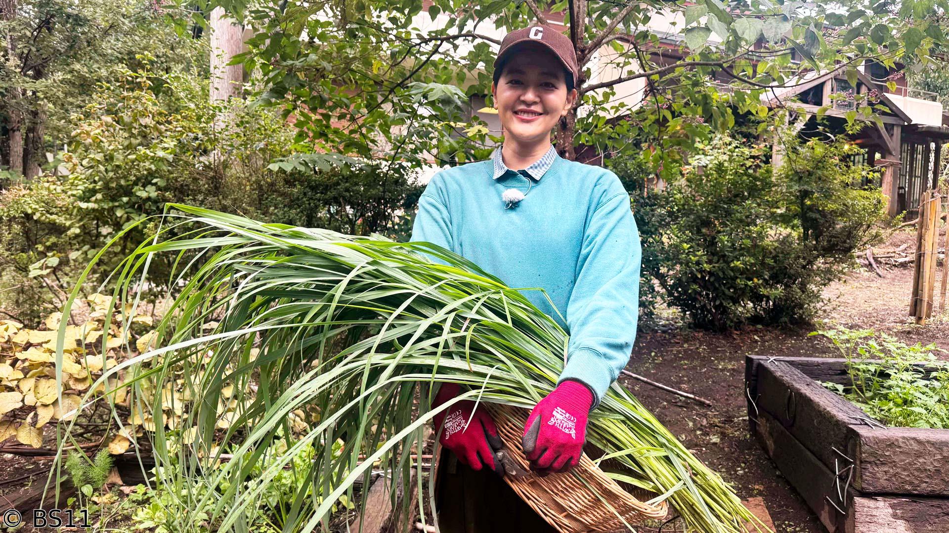 黒谷友香、お庭つくります　意外とかわいい食虫植物の寄せ植え＆ハーブガーデン収穫！