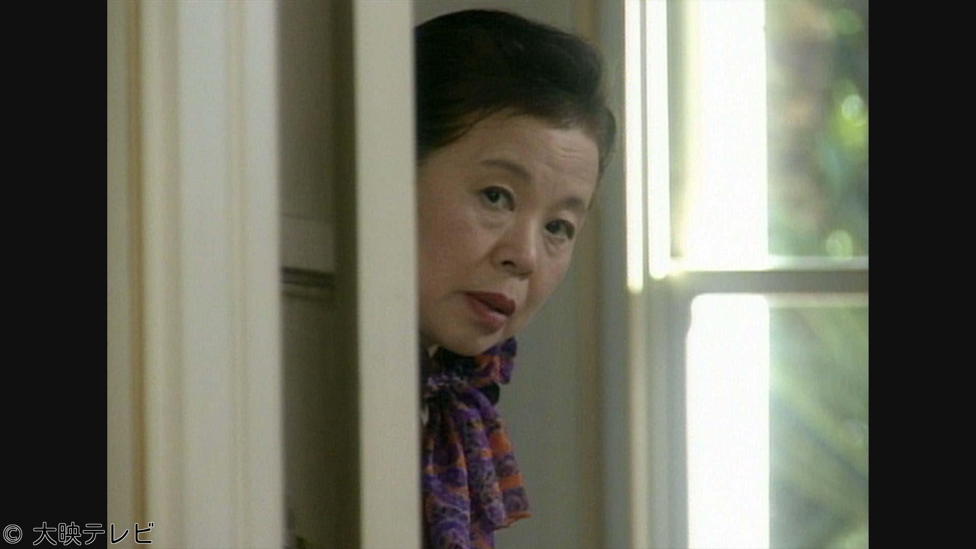 サスペンス「家政婦は見た！」　第14話