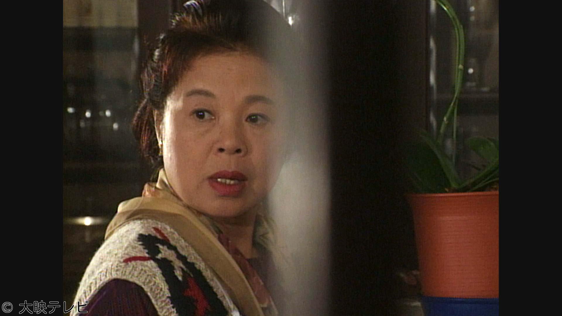 サスペンス「家政婦は見た！」　第15話