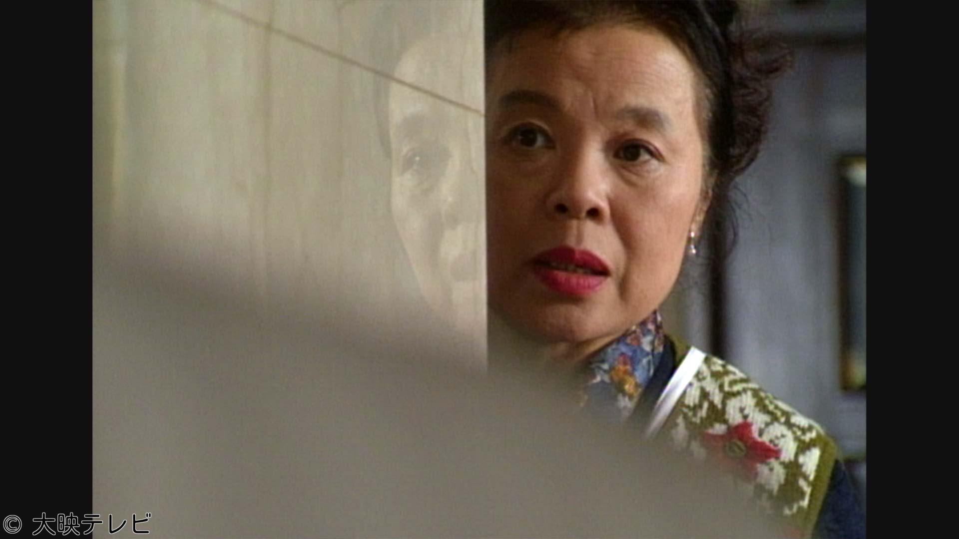 サスペンス「家政婦は見た！」　第16話