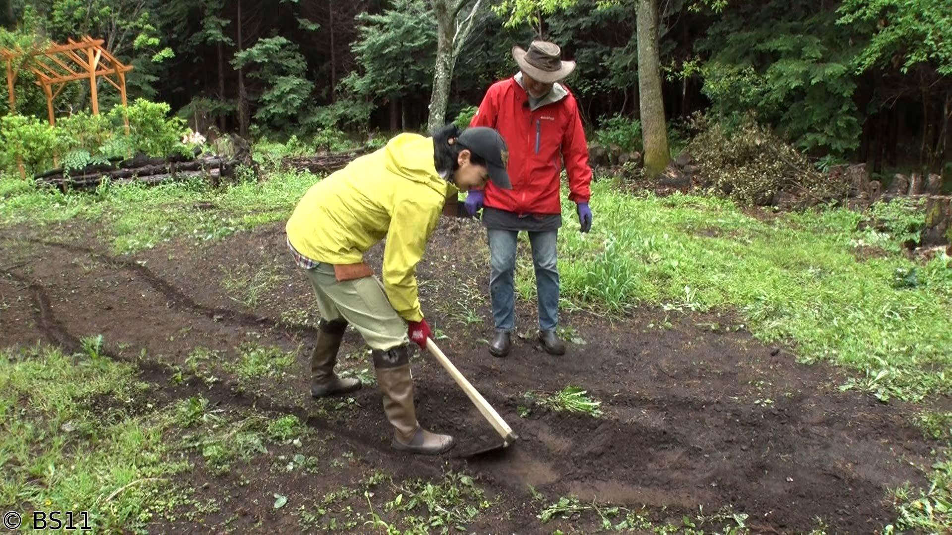 黒谷友香、お庭つくります世界的な多肉植物大公開＆今すぐ使えるガーデニング情報満載