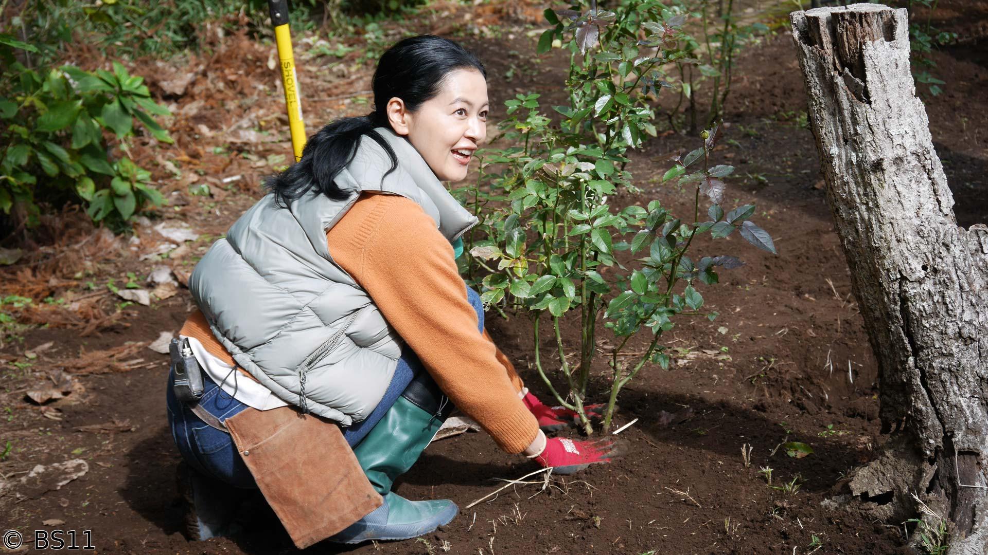 黒谷友香、お庭つくります　バラのお引越し！入口の模様替え大作戦〜ツバキ・サザンカ