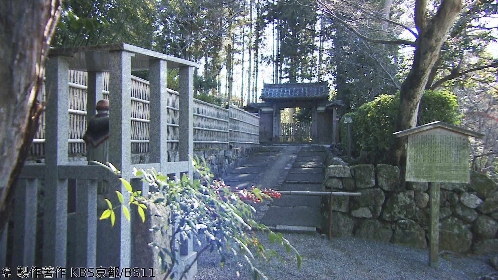 🈑京都浪漫　悠久の物語「美しき京椿〜尼寺の名木をたずねて〜」