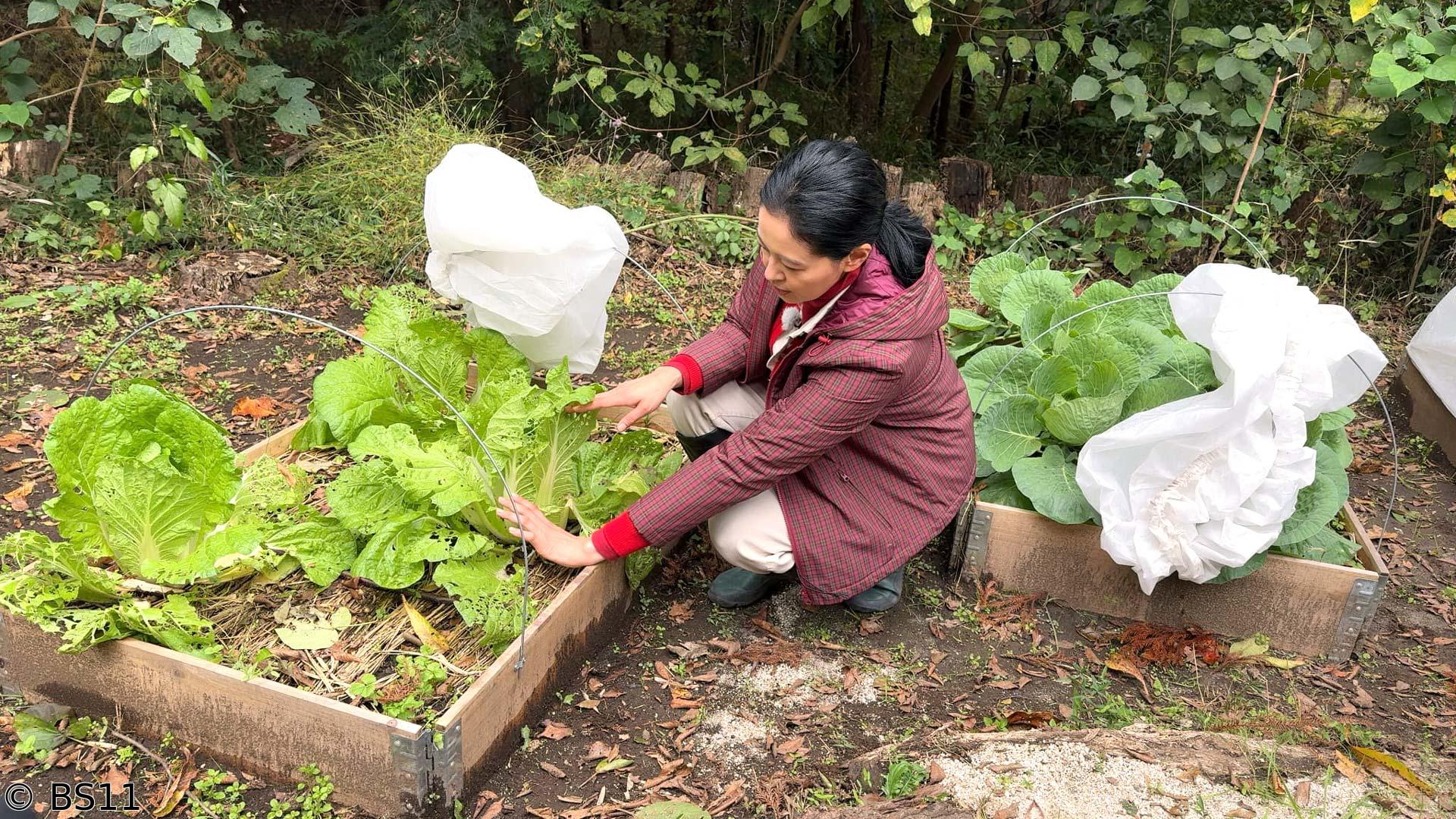 黒谷友香、お庭つくります　アンコール　ベストビューポイントに休憩所
