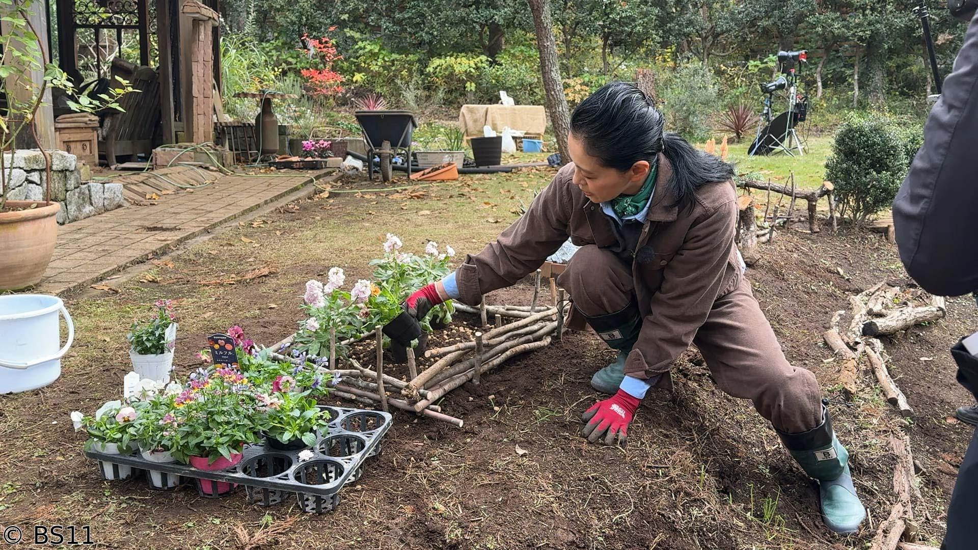 黒谷友香、お庭つくります　アジュガで防ぐお庭の土壌流出＆2026年注目の新花