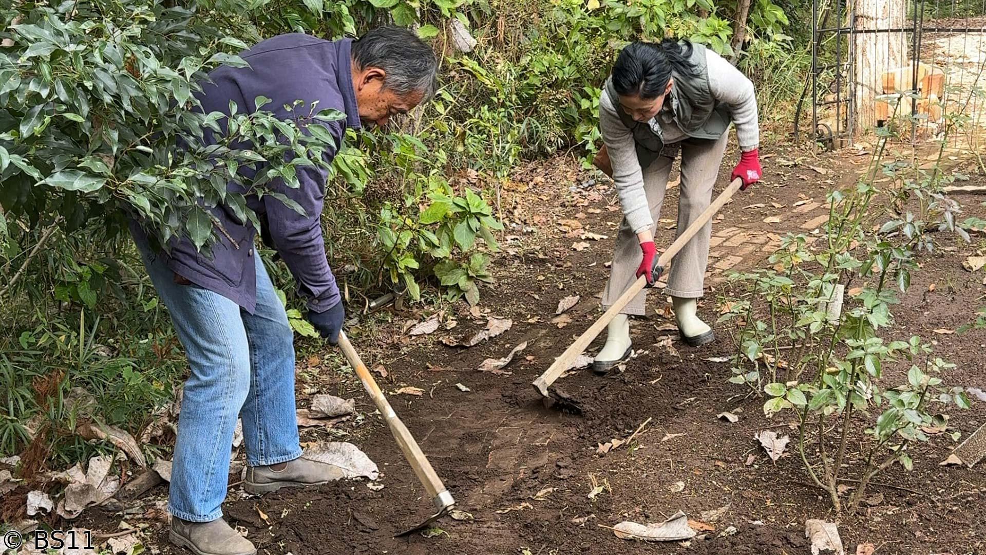 黒谷友香、お庭つくります　アンコール　簡単！暗渠工事で小道を救え