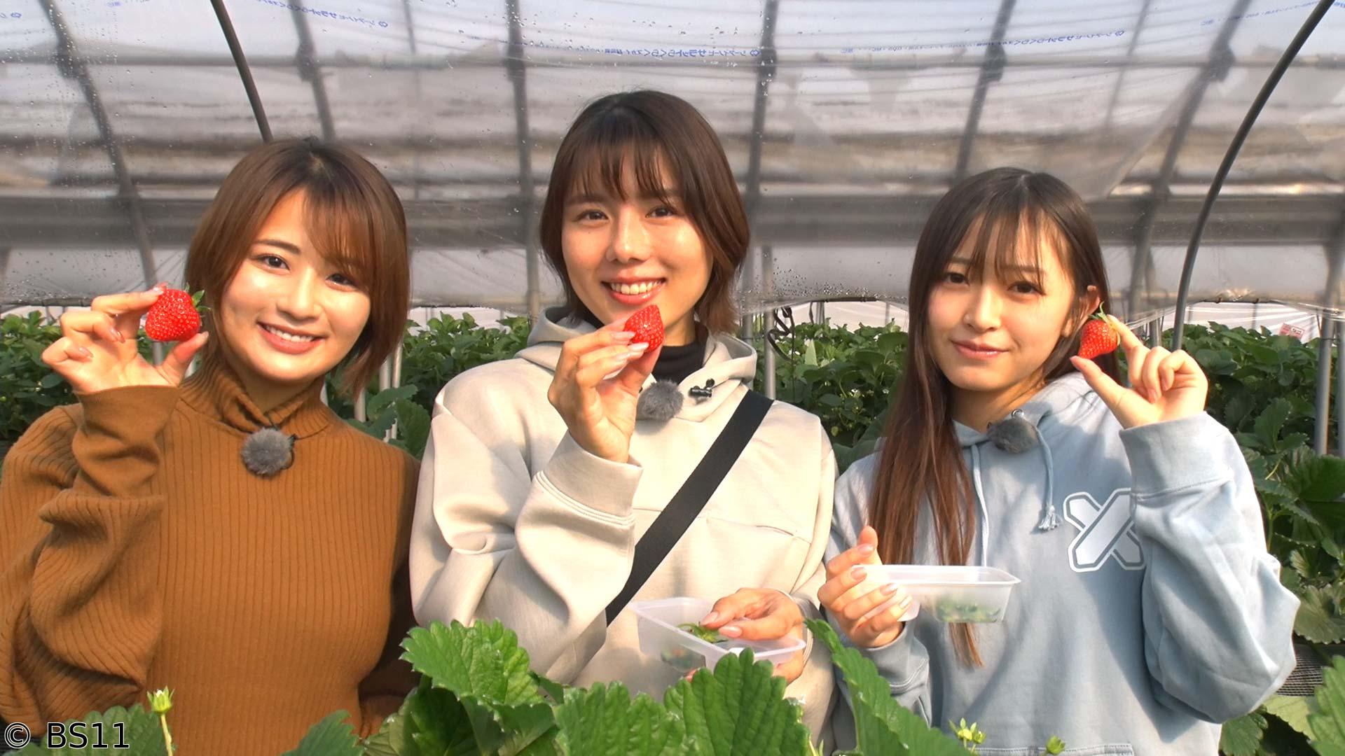 MOTORISE　黒江こはるちゃん初めてのお泊まりツーリング！後編