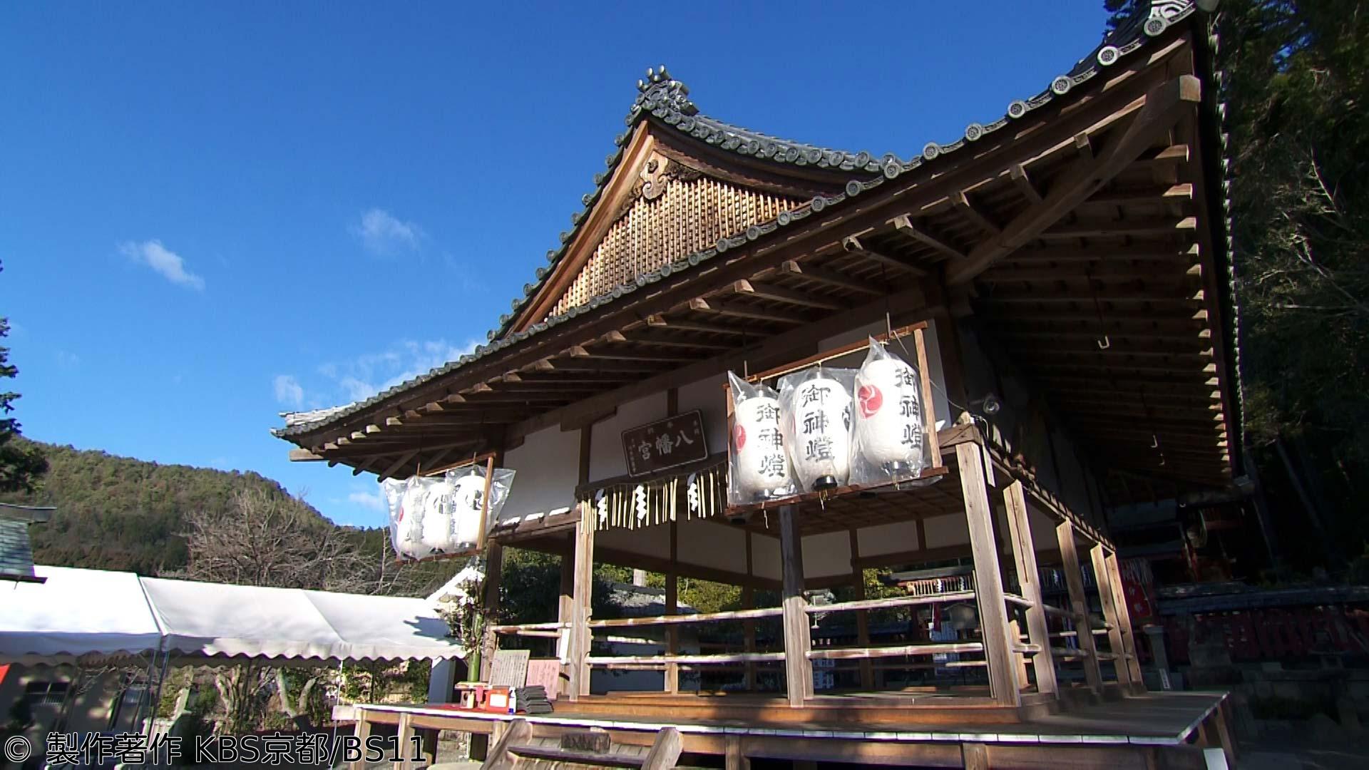 🈑京都浪漫　悠久の物語「春の京都 とっておき花物語〜椿・梅・桜〜」