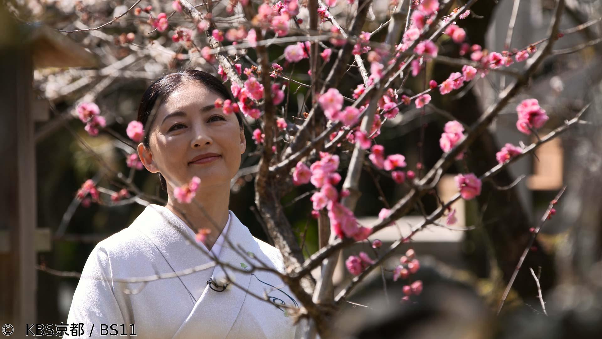 京都画報【日本文化ルネサンス！―文化発祥の地を巡る旅―】