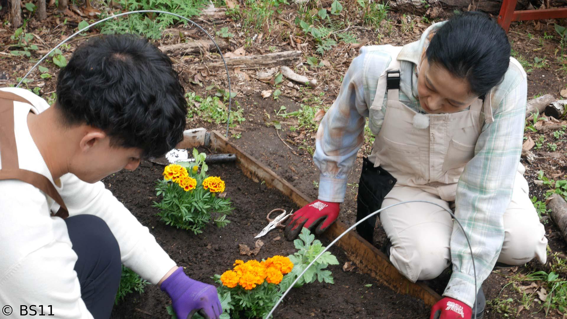 黒谷友香、お庭つくります　そらベジさんと一緒に「2026注目野菜」を育てよう！