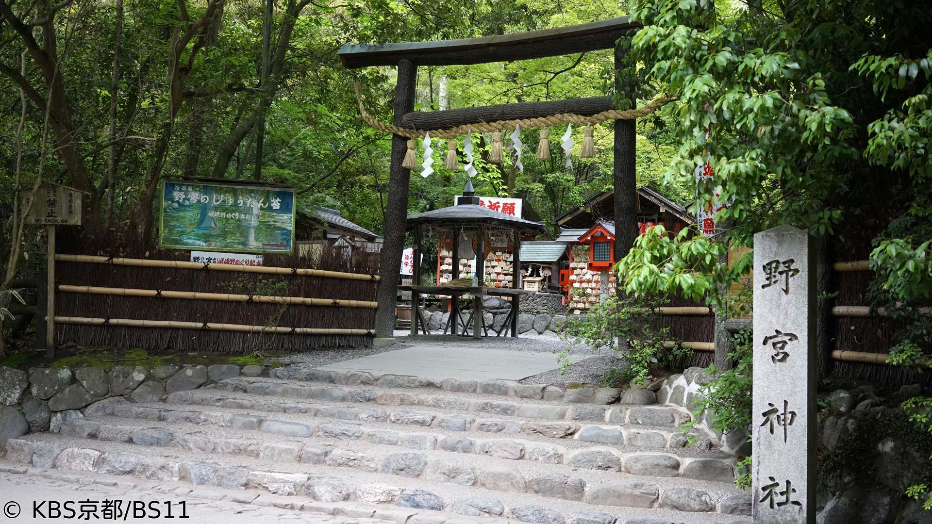 🈑京都浪漫　悠久の物語【夏の奥嵯峨〜幽玄の世界〜】
