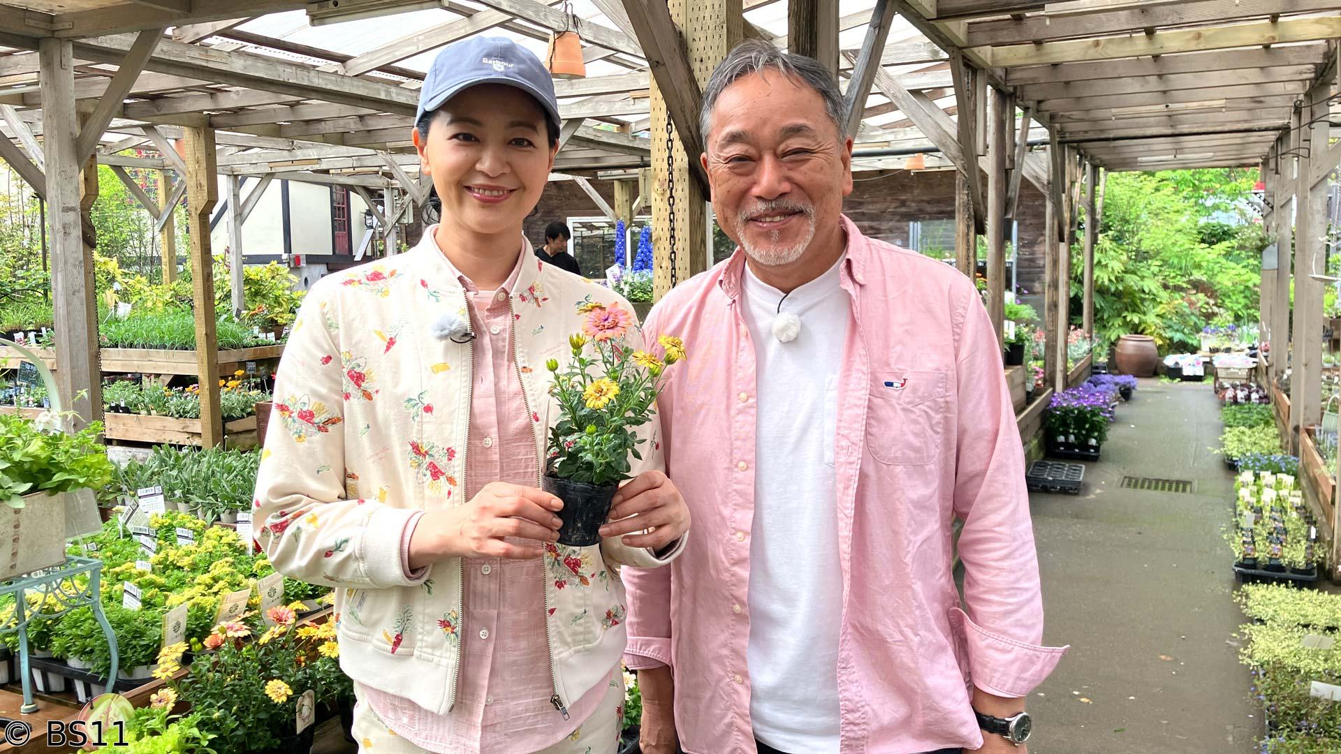 黒谷友香、お庭つくります　アンコール　今年暑さに強い宿根草はコレ！