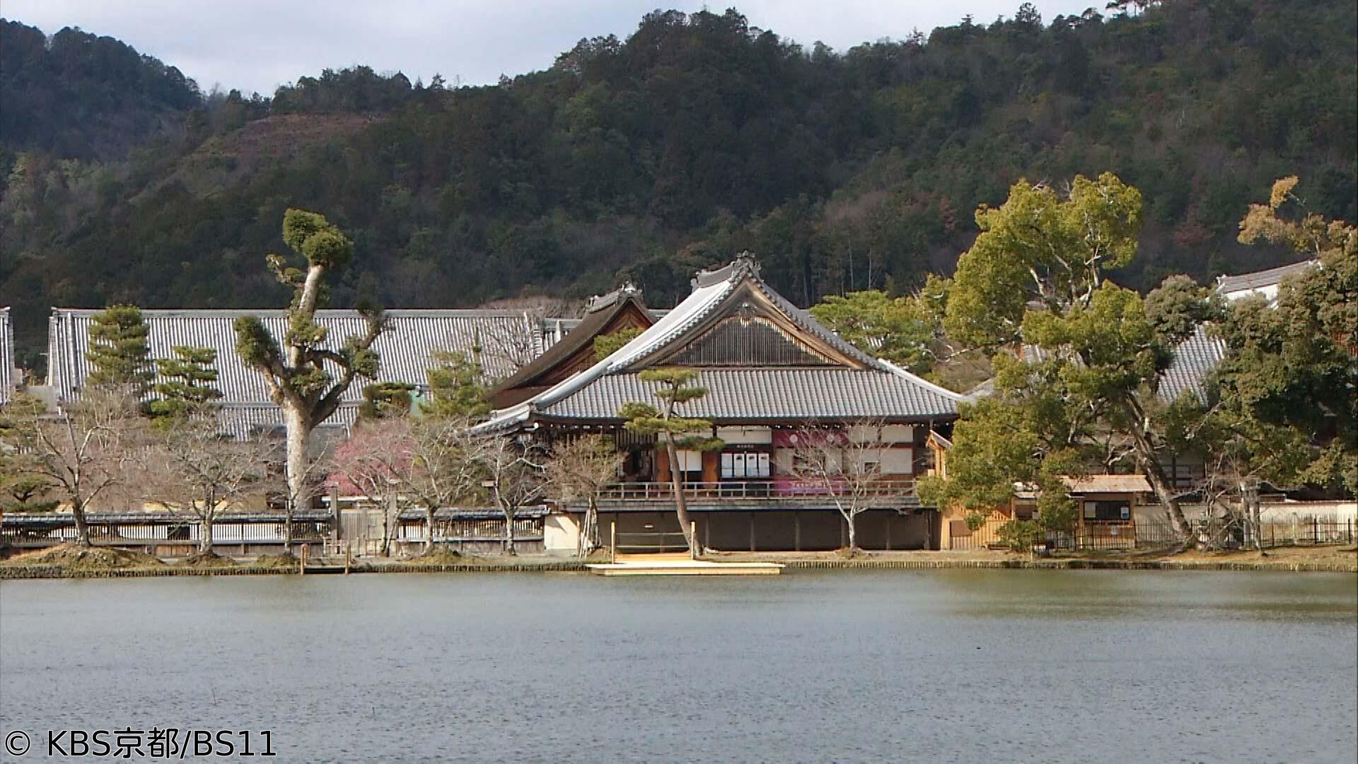 🈑京都浪漫　悠久の物語【夏の花の古寺巡礼〜大覚寺・勧修寺・西林寺・宝泉寺〜】