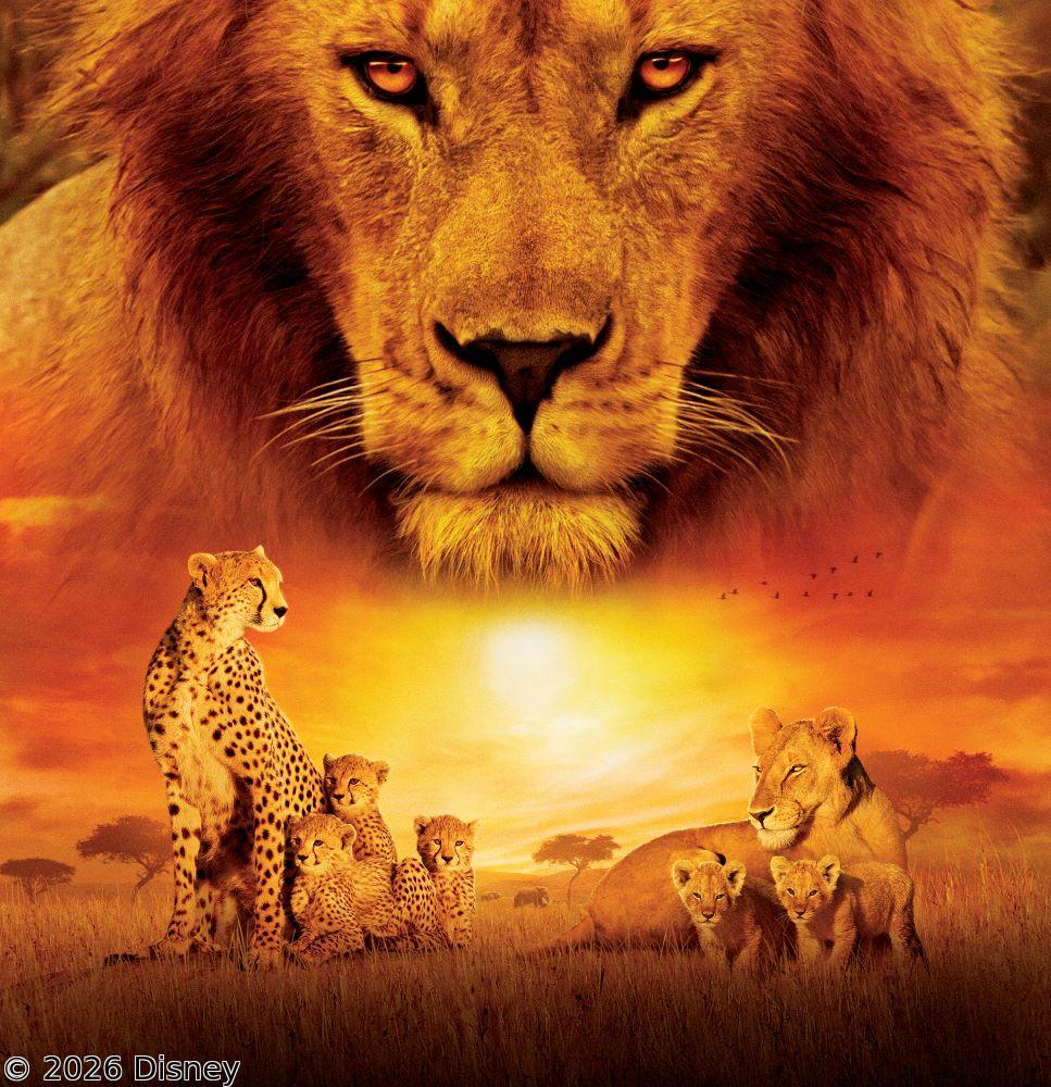 [初]映画：ディズニーネイチャー／サバンナを生きる百獣の王🈔★チャンネル初！