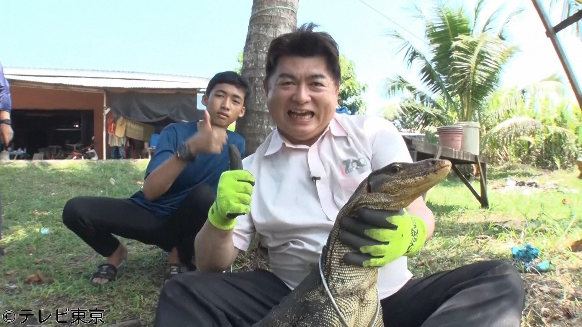 日曜アワー「世界を救え！サムライバスターズ〜最恐生物一斉討伐ＳＰ！〜」