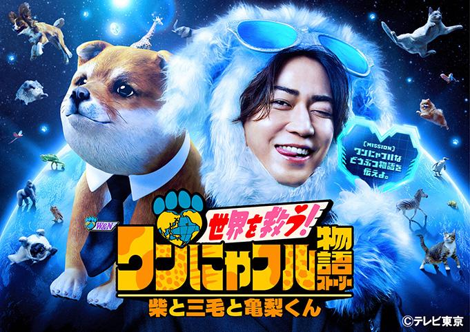 世界！ワンにゃフル物語　▽岐阜県で発見！希少な“赤い柴犬”美濃柴犬を育てる高校生