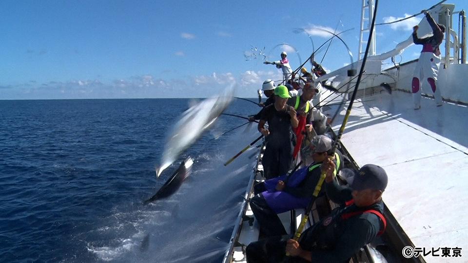 ニッポンの凄腕漁師　「サンマ＆カツオ＆マグロ！大漁祭り」